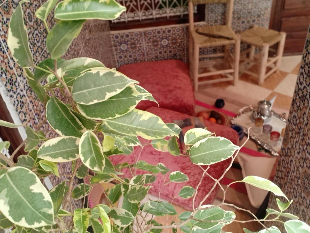 Riad White House Marrakesh Exterior foto